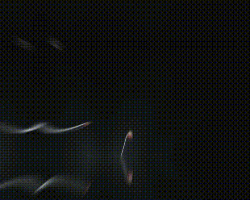 自研3-6低压 (5).gif